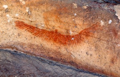Pinturas rupestres de los bosquimanos, Cedarburg, Cabo Occidental de Unknown